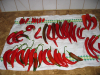 ErsteChiliErnte2008.jpg