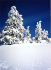 Winterlandschaft.jpg